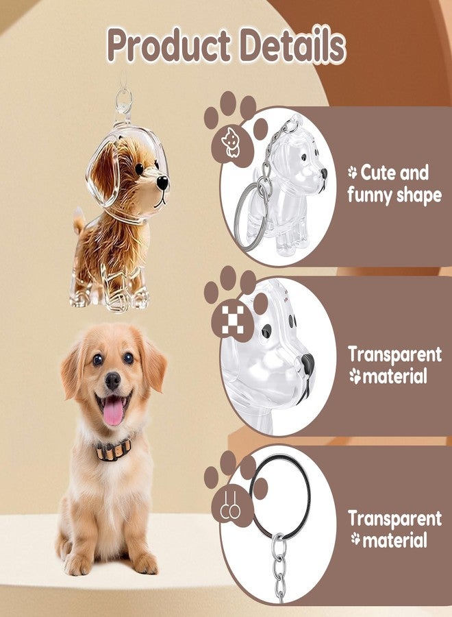 VINGVO 3PCS Pet Hair Memorial Keychain, Dog Fur Storage Bottle with Secure Snap Lid, Transparent Keepsake Charm for Pet Lovers, Portable Pet Hair Collector - Image 3